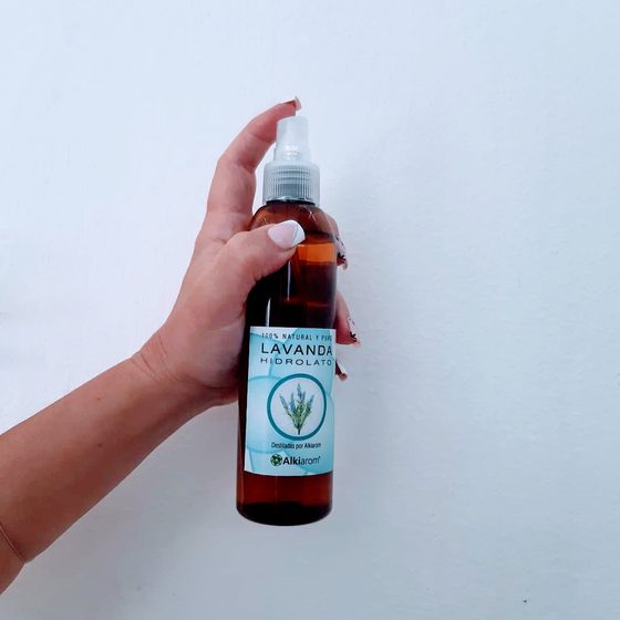 Lavanda
